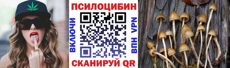 Галлюциногенные грибы ЛСД  Купить  Макушино 